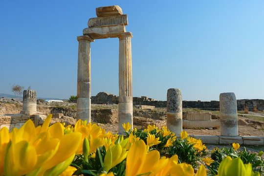 Tour image 7